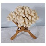 Lovely decorative coral