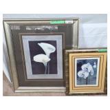 Pair of lovely Iris prints