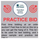First time bidding at an online auction?