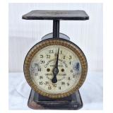 Columbia Family Scale. 24lb