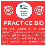 First time bidding at an online auction?