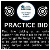 First time bidding at an online auction?