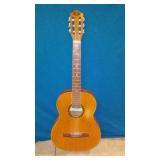 Acoustic Guitar