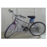 Adult Ladies Stone Mountain Bike