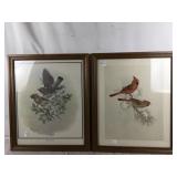 2 Framed Prints of Birds