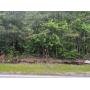 8.11 ACRE± RESIDENTIAL LOT on Mooresville Road in Elkmont, AL