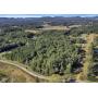 13± WOODED ACRES in OWENS CROSS ROADS COMMUNITY (Madison County)