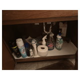 Contents of the Bathroom
