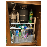 Contents Under the Sink: Cleaning Products