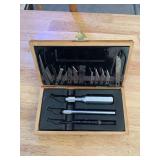 Wood Carving Tool Set with Fitted Case