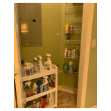 Contents of Closet: Cleaning Supplies