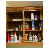 Contents of Cabinet: Cleaning Supplies