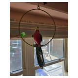 Parrot on Hoop Hanging