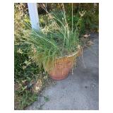 Terracotta Garden Pots with Plants and Vegetation