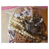 Costume Jewelry Lot in Storage Bag