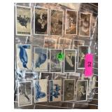 Vintage Animal Cigarette Cards in Sleeved Binder S