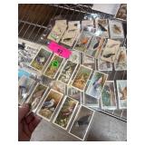Cigarette Cards Featuring Birds by Various Makers