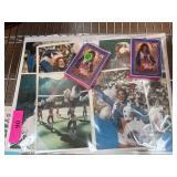Dallas Cowboys Cheerleaders Memorabilia: Playing C