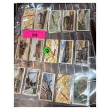 Vintage Train and Railway Cigarette Cards in Prote