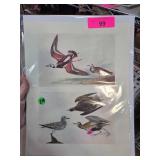 Several Audubon Bird Prints in Color