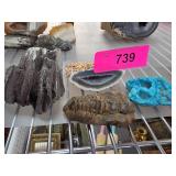 Fossils, Geode, and Mineral Specimens