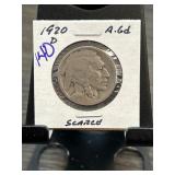1920-D Buffalo Nickel in Holder