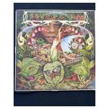 Spyro Gyra, ï¿½Morning Danceï¿½ Vinyl Record Album