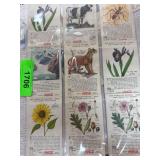 1930s Coca-Cola Trading Cards