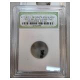 Campo del Cielo Meteorite Specimen