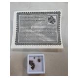 Campo del Cielo Meteorite Fragments With COA