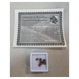 Campo del Cielo Meteorite Fragments with COA