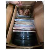 Vinyl Records and Sleeves