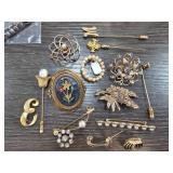 Pins and Brooches
