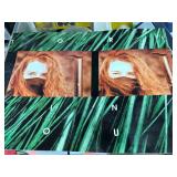 Tori Amos Tour Program