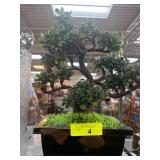 Artificial Bonsai Tree in Square Black Pot