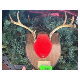 Mounted Deer Antlers with Red Velvet Base