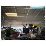 Decorative Pots and Planters