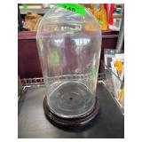 Glass Bell Jar With Wooden Base