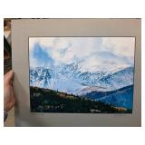 Chris Thornton Signed Artwork Collection