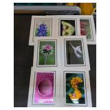 Framed Botanical Flower Photographs