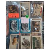 Animal Trading Cards