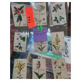 8 Coca-Cola Wild Flowers Cards