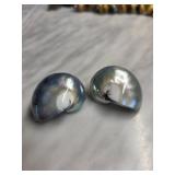 Shell-Inspired Clip-On Earrings