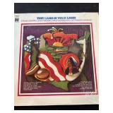 This Land Is Your Land Vinyl Record Album