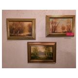 Framed Landscape and Garden Prints