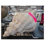 White Shell-Shaped Ceramic Planter