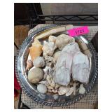 Silver-Tone Tray with Assorted Seashells