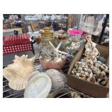 Shell and Coral Lot