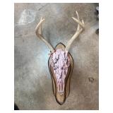 Pink Painted Deer Skull With Antlers on Plaque