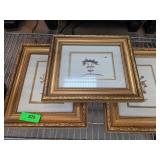Three Pressed Botanical Artwork in Frames